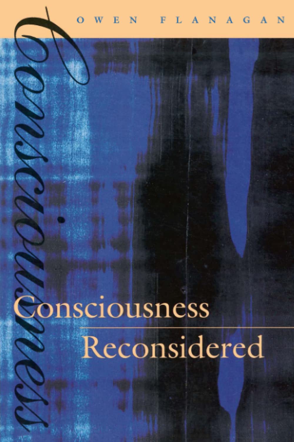 Consciousness Reconsidered